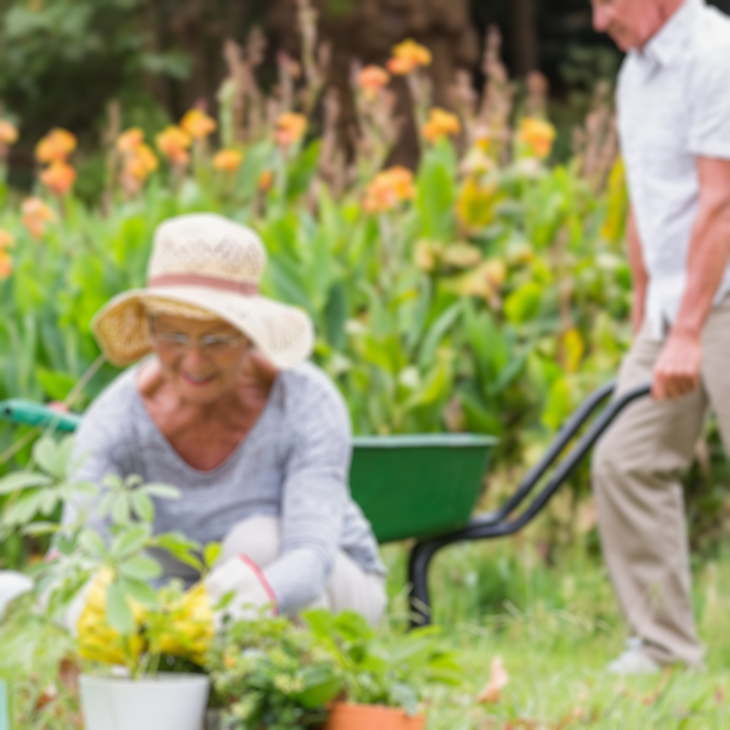 People gardening